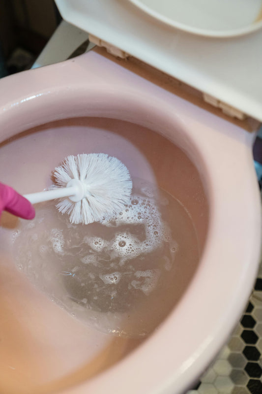 How to Keep Your Toilet Bowl Clean